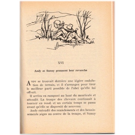 Un poney des Rocheuses, Henry Larom, 1964 - Far West, Aventures Jeunesse, Bibliothèque Rose