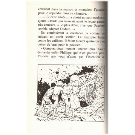 Le Club des Cinq et les papillons, Enid Blyton, 1991 - aventures jeunesse, mystères jeunesse, Bibliothèque rose