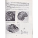 Manuel Sciences Naturelles, classe de 1ère, tome 2 géologie, Borie, Désiré, 1969