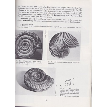 Manuel Sciences Naturelles, classe de 1ère, tome 2 géologie, Borie, Désiré, 1969