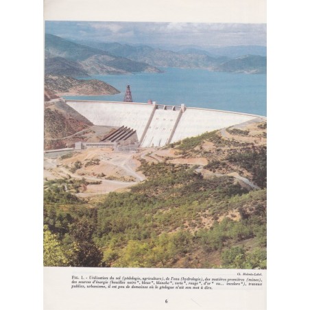 Manuel Sciences Naturelles, classe de 1ère, tome 2 géologie, Borie, Désiré, 1969