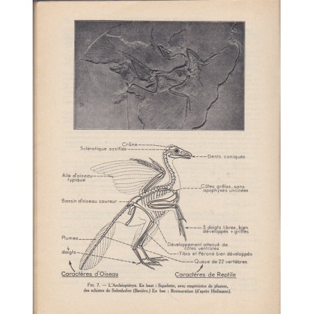Botanique, Biologie générale, bac 2e partie, Camefort Gama, 1953 - Cours Obré, manuels sciences naturelles, botanique, biologie