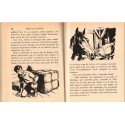 Fred et Sunny, Priscilla Willis, 1959 - amitié cheval enfant, aventures jeunesse, collection Bibliothèque Verte