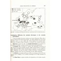 Géographie humaine et économique, enseignement technique, Debesse 1959 - économie 1960, manuels de géographie