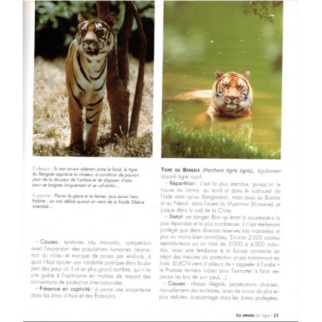 Le tigre, Pierre Darmangeat, 2006, animaux sauvages, félins, tigres, fauves