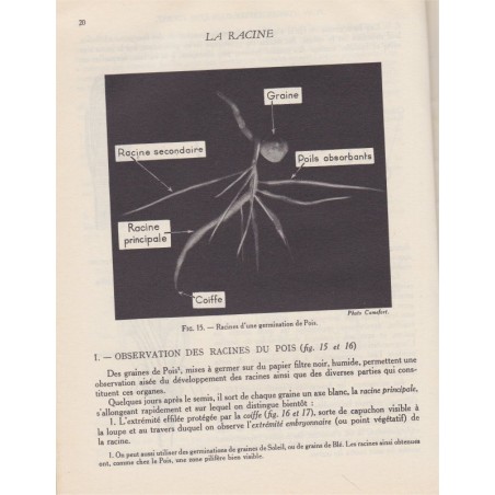 Manuel Sciences Naturelles, Camefort et Gama, Cours Obré, 1959 - biologie, anatomie, physiologie,