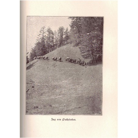 Amis chasseurs, Theodore Roosevelt, Jägerfreunden,  1907 - Jagd, Tiere, chasse, Président Etats-Unis, animaux sauvages,