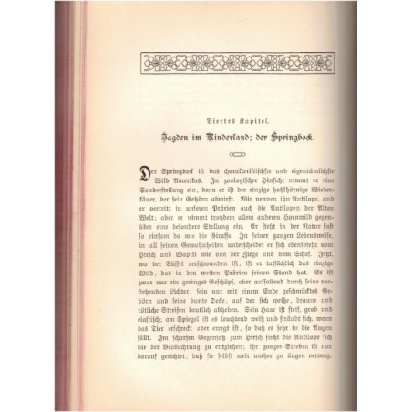 Amis chasseurs, Theodore Roosevelt, Jägerfreunden,  1907 - Jagd, Tiere, chasse, Président Etats-Unis, animaux sauvages,