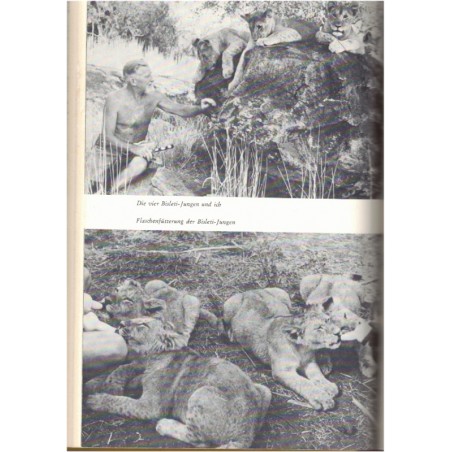 Safari meines Lebens, George Adamson, 1969 - Tiere, wild animals, fauves, braconnage, chasse, réserve Kenya, animaux sauvages