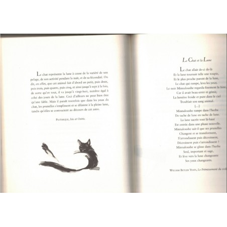 Les chats mots, Anny Duperey 2003 - romans animaliers, chats,