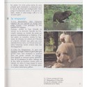Biologie, classe de 6e, Boué et Darchis, Campan et Paniel, 1967 - manuels de biologie, sciences naturelles, zoologie, botanique,