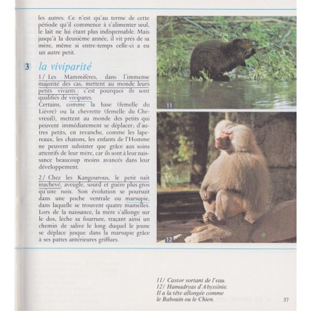 Biologie, classe de 6e, Boué et Darchis, Campan et Paniel, 1967 - manuels de biologie, sciences naturelles, zoologie, botanique,