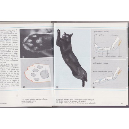 Biologie, classe de 6e, Boué et Darchis, Campan et Paniel, 1967 - manuels de biologie, sciences naturelles, zoologie, botanique,