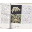 Biologie, classe de 6e, Boué et Darchis, Campan et Paniel, 1967 - manuels de biologie, sciences naturelles, zoologie, botanique,