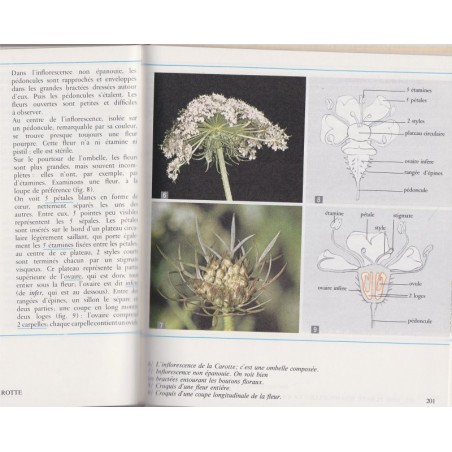 Biologie, classe de 6e, Boué et Darchis, Campan et Paniel, 1967 - manuels de biologie, sciences naturelles, zoologie, botanique,