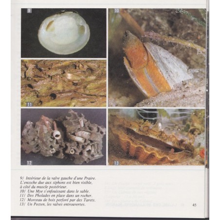 Manuel Biologie, classe de 5e, Boué et Darchis, Campan et Paniel, 1968 - Sciences naturelles