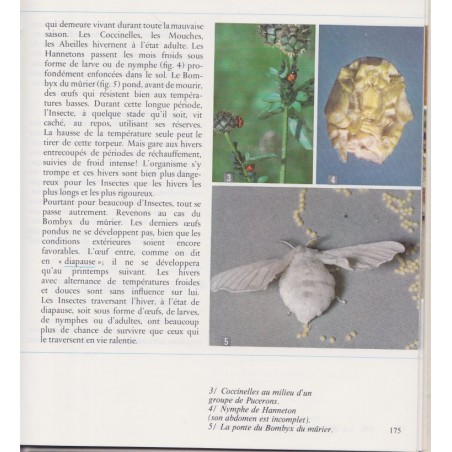 Manuel Biologie, classe de 5e, Boué et Darchis, Campan et Paniel, 1968 - Sciences naturelles