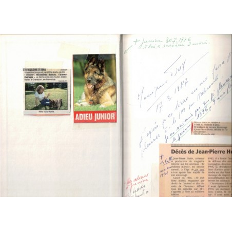 Junior, la tendresse retrouvée, Jean-Pierre Hutin, 1987, chiens, berger allemand, animaux familiers, télévisions