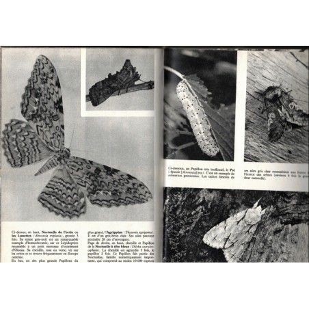 Encyclopédie illustrée du monde animal, Stanek, 1973 - -  animaux marins, animaux sauvages, reptiles, oiseaux, biologie,