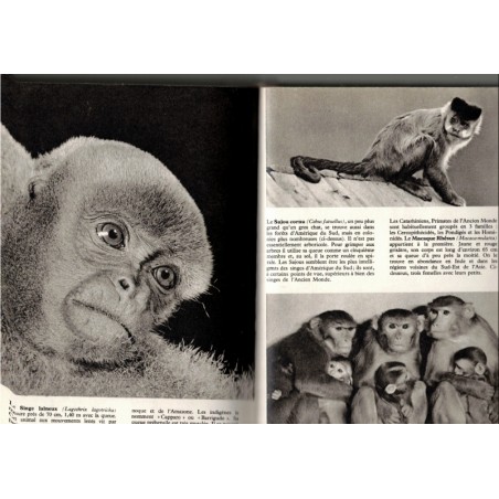 Encyclopédie illustrée du monde animal, Stanek, 1973 - -  animaux marins, animaux sauvages, reptiles, oiseaux, biologie,