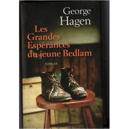 Les grandes espérances du jeune Bedlam, George Hagen, 2009 - destin d'un jeune homme, Edimbourg, Afrique du Sud, saga familiale