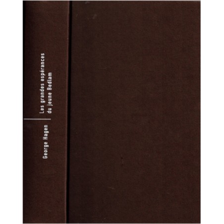 Les grandes espérances du jeune Bedlam, George Hagen, 2009 - destin d'un jeune homme, Edimbourg, Afrique du Sud, saga familiale