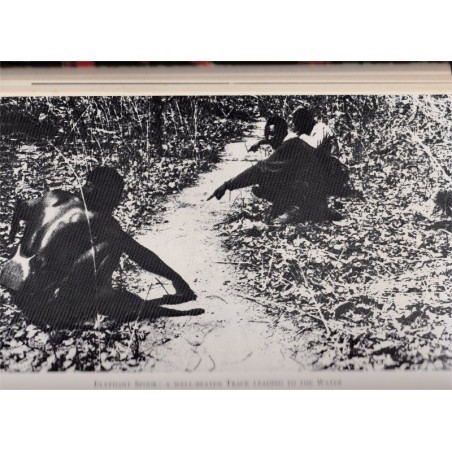 Wild animals of Africa, Anthony Hinton - hunt, tigers, animaux sauvages, animaux captifs, chasse, Afrique, fauves,