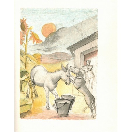 Platero et moi, Juan Ramon Jimenez, 1972 - conte, histoire âne, écrivain espagnol, Collection des Prix Nobel de Littérature