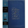 Ce bel été, Heinrich Klier -  alpinisme, Alpes, écrivain allemand, collection du XXe siècle