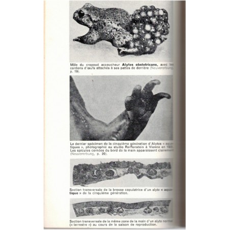 L'étreinte du crapaud, Arthur Koestler, 1972 - évolution de l'espèce, roman scientifique,