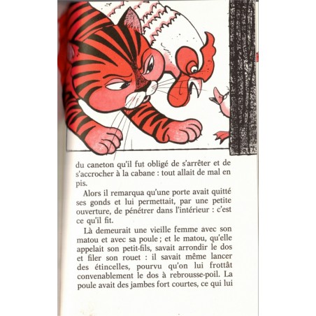 Les fleurs de la petite Ida, Hans Christian Andersen, 1986 - contes, littérature jeunesse