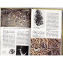 Tierspuren, Bang und Dahlström - Empreintes et traces d'animaux, animaux sauvages, zoologie,