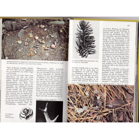 Tierspuren, Bang und Dahlström - Empreintes et traces d'animaux, animaux sauvages, zoologie,