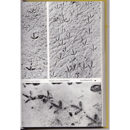 Tierspuren, Bestimmungsbuch, empreintes et traces d'animaux, animaux sauvages, zoologie,