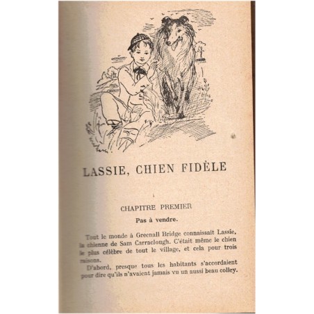 Lassie chien fidèle, Eric Knight, 1951 - histoire de chiens, chiens, aventure jeunesse, bibliothèque rose illustrée,