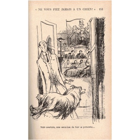 Lassie chien fidèle, Eric Knight, 1951 - histoire de chiens, chiens, aventure jeunesse, bibliothèque rose illustrée,