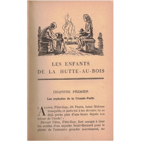 Les enfants de la Hutte-au-Bois, Andrée Hugon, 1947 - orphelins, enfants à la campagne, Bibliothèque Rose Illustrée