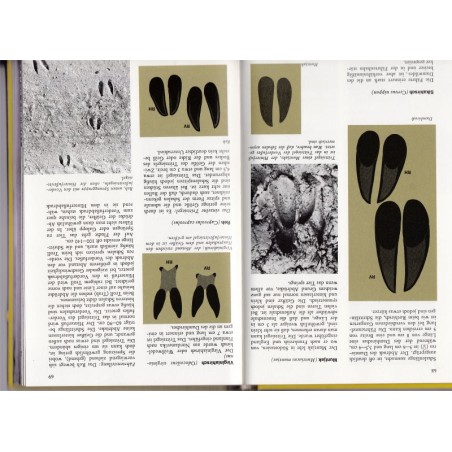 Tierspuren, Bestimmungsbuch, empreintes et traces d'animaux, animaux sauvages, zoologie,