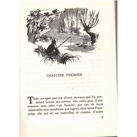 En famille, T2, Hector Malot, 1954 - littérature jeunesse, Rouge et or Dauphine