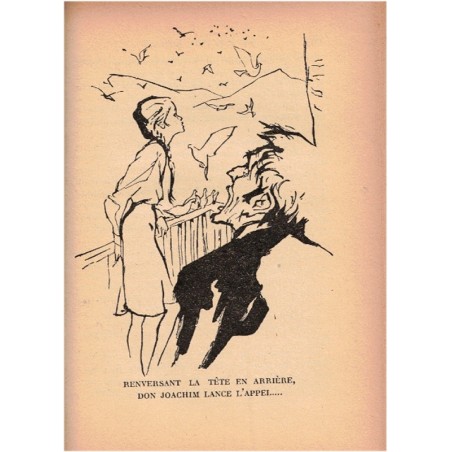 Le faucon rouge, Marcelle Vérité, 1956 - animaux sauvages, oiseaux, Espagne, bibliothèque verte, couverture verte,