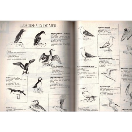 Revue Bateaux hors-série 1996 Skipper 96, supplément à N°451 - marine, navigation, bateaux, voiliers, anciens magazines,