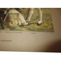 88 planches, Les garnisons d'Alsace au 19e siècle, Fritz Kieffer, 1911 - uniformes militaires , gravures, armée,