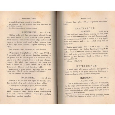 Flore des Indes 1932 - The flora of the South Indian Hill stations, 2 vol, 611 gravures, P.F. Fyson, 1932 - botanique, Indes,