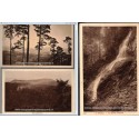 Les Vosges, 3 cartes postales, Hohwald grande cascade, Mont Sainte-Odile, Andlau forêt , 1920 - Alsace,  forêt vosgienne,