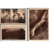 Les Vosges, 3 cartes postales, Hohwald grande cascade, Mont Sainte-Odile, Andlau forêt , 1920 - Alsace,  forêt vosgienne,