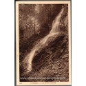 Les Vosges, 3 cartes postales, Hohwald grande cascade, Mont Sainte-Odile, Andlau forêt , 1920 - Alsace,  forêt vosgienne,