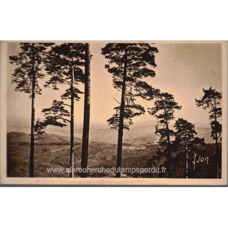 Les Vosges, 2 cartes postales, Mont Sainte-Odile, Andlau forêt , 1920 - Alsace,  forêt vosgienne,