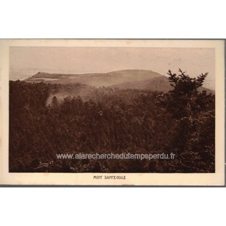 Les Vosges, 2 cartes postales, Mont Sainte-Odile, Andlau forêt , 1920 - Alsace,  forêt vosgienne,