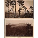 Les Vosges, 2 cartes postales, Mont Sainte-Odile, Andlau forêt , 1920 - Alsace,  forêt vosgienne,