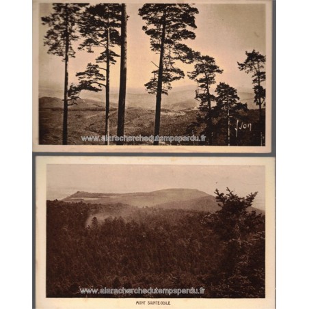 Les Vosges, 2 cartes postales, Mont Sainte-Odile, Andlau forêt , 1920 - Alsace,  forêt vosgienne,